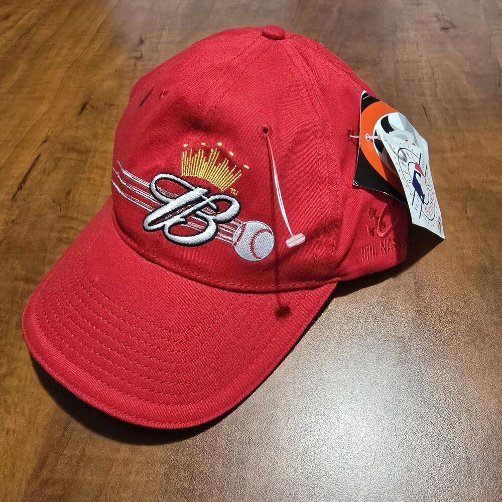 Deadstock Chase Authentics Vintage Nascar MLB Budweiser Dale Ernhardt 2003 Cap